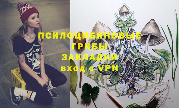 кокс Алексеевка