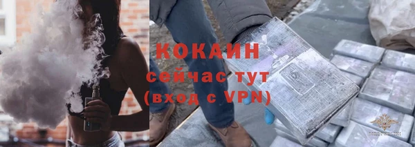 стаф Каменск-Шахтинский