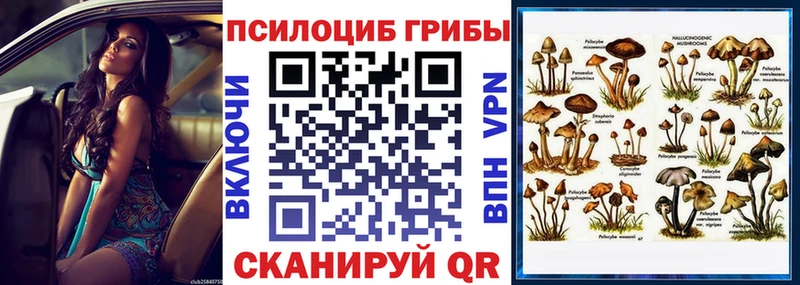 продажа наркотиков  Артёмовск  Псилоцибиновые грибы GOLDEN TEACHER 